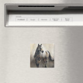 銅及びニッケル マグネット (インサイチュ (食洗機))