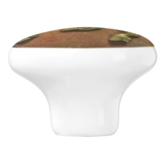 銅及び真鍮のユニコーンの円形浮彫りの陶磁器のノブ セラミックノブ (側面)