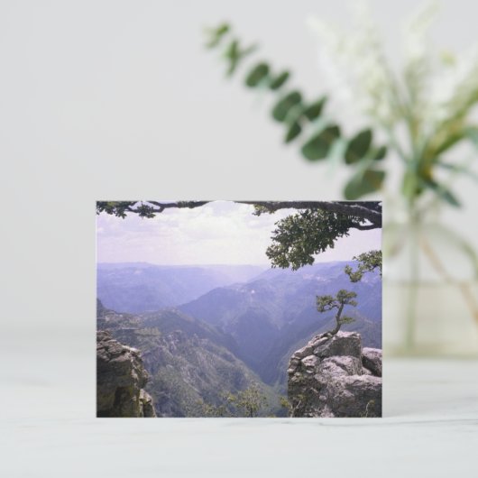 銅峡谷 ポストカード (スタンド正面)