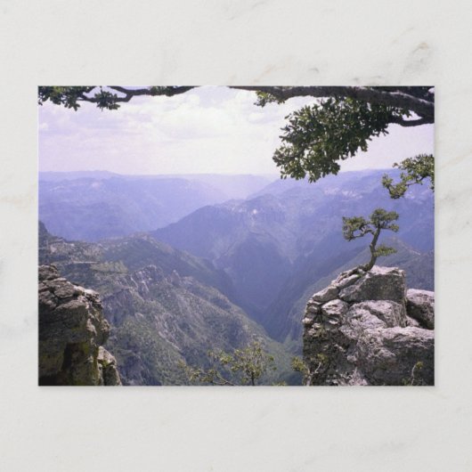 銅峡谷 ポストカード (正面)