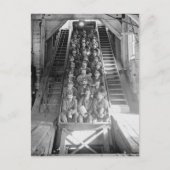 銅抗夫1906年 ポストカード (正面)