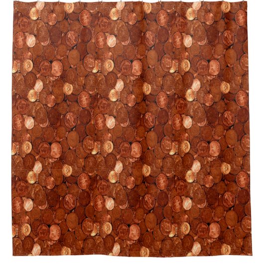 銅貨 シャワーカーテン (正面)