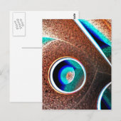 銅青 ポストカード (正面/裏面)