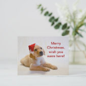 "銅"はメリークリスマスを言います! シーズンポストカード (スタンド正面)