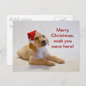 "銅"はメリークリスマスを言います! シーズンポストカード (正面/裏面)