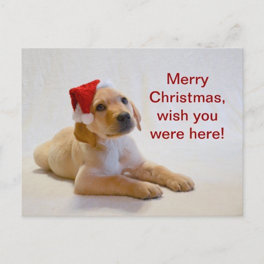 "銅"はメリークリスマスを言います! シーズンポストカード (正面)