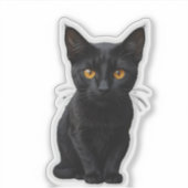 鋭い目をした謎の黒猫 シール (正面)