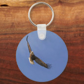 鋭い禿鷲 キーホルダー (正面)