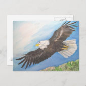 鋭い禿鷲 ポストカード (正面/裏面)
