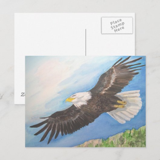 鋭い禿鷲 ポストカード (正面/裏面)