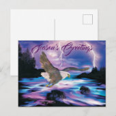 鋭い禿鷲 ポストカード (正面/裏面)