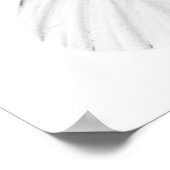 鋭い葉を持つ白い蝶のスタジオショット ポスター (角)