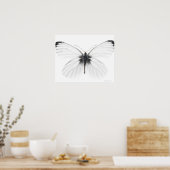 鋭い葉を持つ白い蝶のスタジオショット ポスター (キッチン)