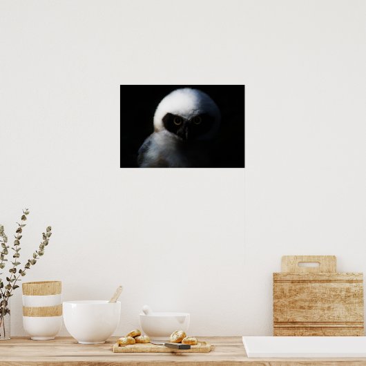 鋭い視線を持つ白いファジーフクロウ ポスター (キッチン)