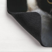 鋭い視線を持つ白いファジーフクロウ マウスパッド (コーナー)