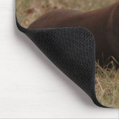 鋭い赤および錆の女性(犬)ドーベルマン・ピンシェル マウスパッド (コーナー)