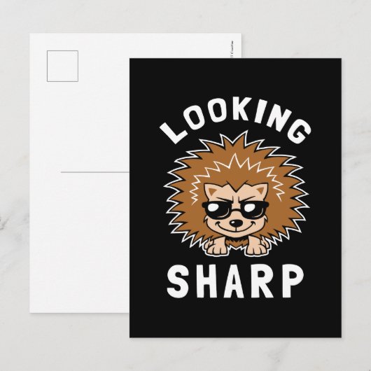 鋭く見える ポストカード (正面/裏面)