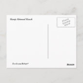 鋭く輝くタカ ポストカード (裏面)