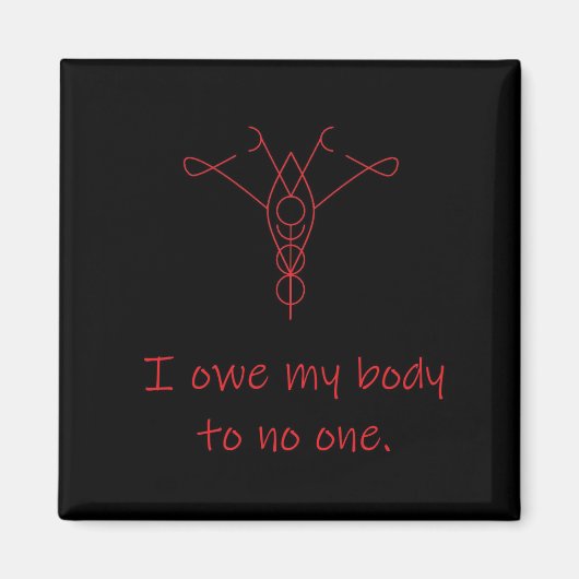 鋳造自由磁石 マグネット (正面)