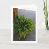 鋳鉄工場 カード (正面)