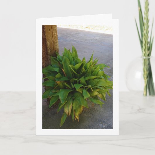 鋳鉄工場 カード (正面)