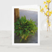 鋳鉄工場 カード (黄色い花)