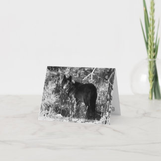 鋸歯のパックのメッセージカード カード