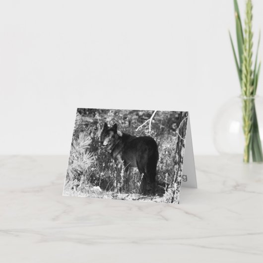 鋸歯のパックのメッセージカード カード (正面)