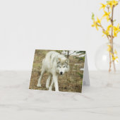 鋸歯のパック: Nez Perceのメッセージカードのオオカミ カード (黄色い花)