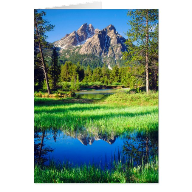 鋸歯の荒野 (正面)