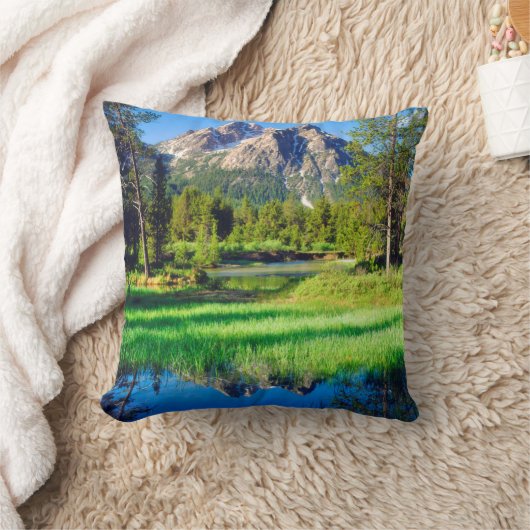 鋸歯の荒野 クッション (ブランケット)