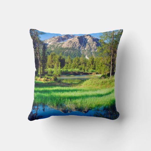 鋸歯の荒野 クッション (裏面)