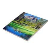 鋸歯の荒野 タイル (側面)