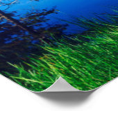 鋸歯原野 ポスター (角)