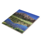 鋸歯状山脈反射7月4日 タイル (側面)