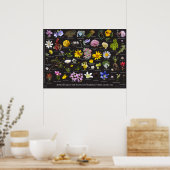 鋸歯高山フローラ ポスター (キッチン)