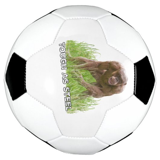 鋼のように硬い無毛のチンポ サッカーボール (回転)