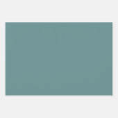 鋼ティール（緑がかった色）無地の色 ラッピングペーパーシート (正面3)