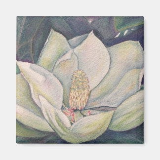 鋼マグノリア マグネット