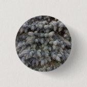 鋼、灰色、緑、青のトウヒの上品 缶バッジ (正面)