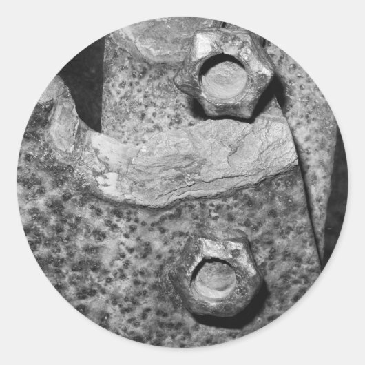 錆ついたボルトおよびねじ ラウンドシール (正面)