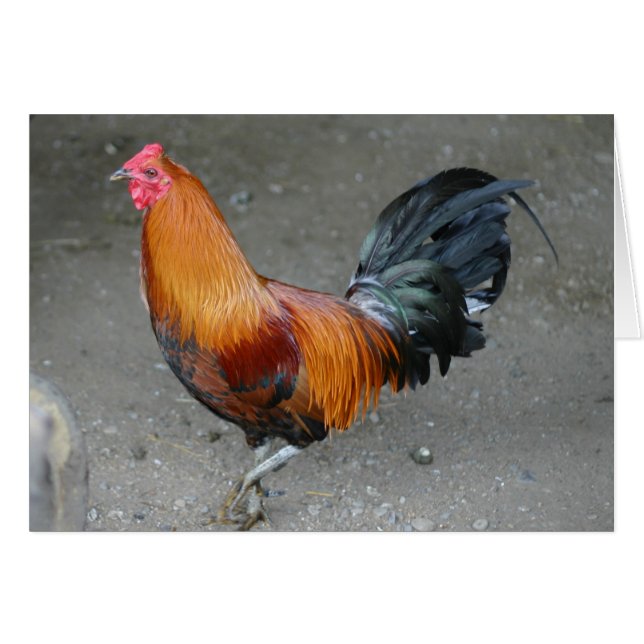 錆ついた (正面横)