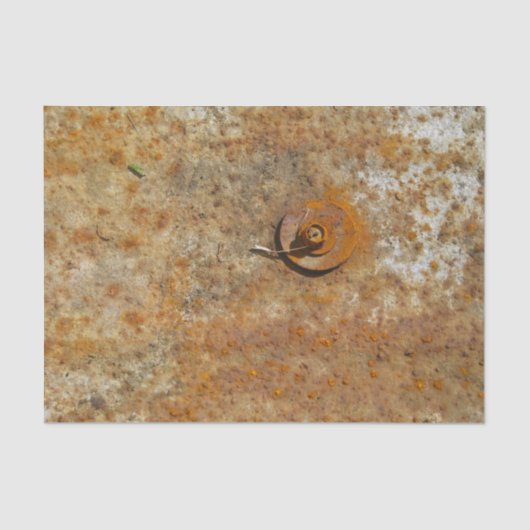 錆つかせた芸術 薄葉紙 (正面)