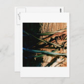 錆と青の有刺鉄線 ポストカード (正面/裏面)