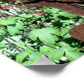 錆びたウサギオダマキ(植物)フラワーガーデン ポスター (角)