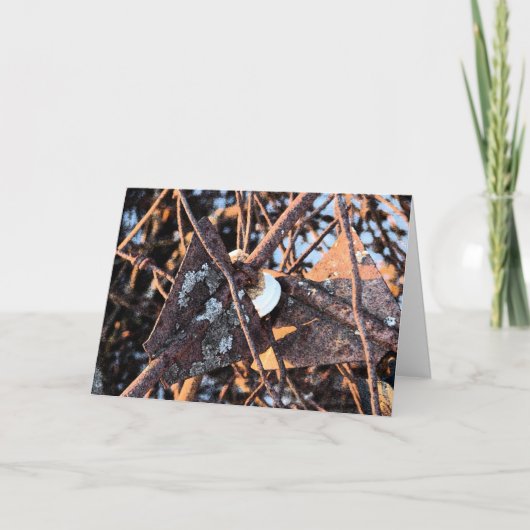 錆びたジャンクパイル、誕生日 カード (正面)