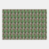 錆びたフラワーガーデンラビットフローラ自然 ラッピングペーパーシート (正面)