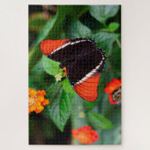 錆びたページ蝶。 ジグソーパズル (縦)