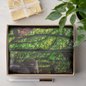 錆びた古い車のヴィンテージ20x30デコページ 薄葉紙 (ギフト)