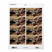 錆びた農場用機器 ラベル (フルシート)